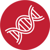 4-sequence