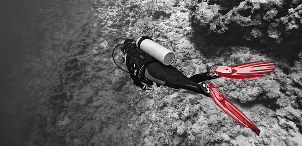 scuba diver near a coral reef